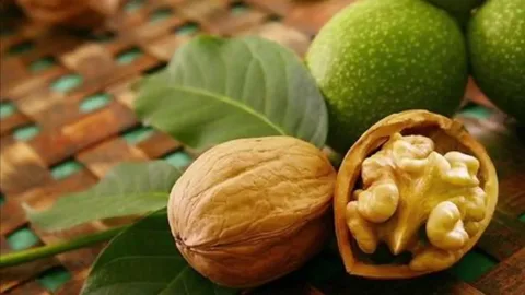 تصویر 2 از قیمت خرید مغز گردو فسنجانی + فروش ویژه